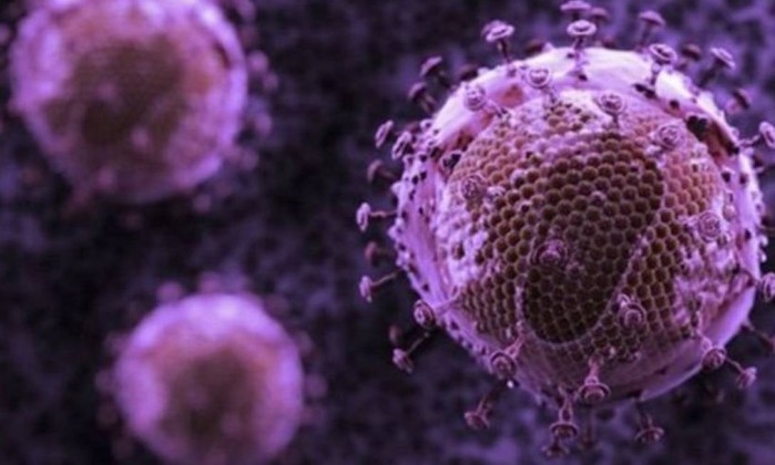 Doutorando da USP descobre proteína que pode ajudar a combater HIV